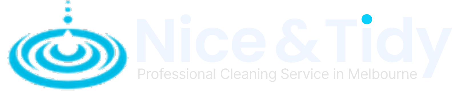 Nice & Tidy Pvt Ltd